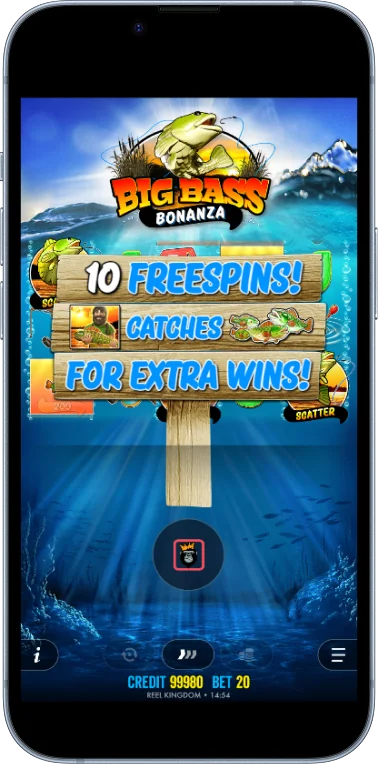 Bonuses in the game Big Bass Bonanza